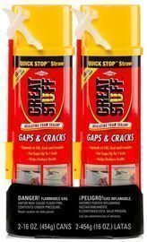 2-Pack 16oz. Great Stuff Gaps and Cracks Insulating Foam