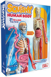 SmartLab Toys Squishy Human Body