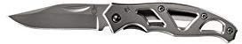 Gerber Paraframe Mini Folding Knife