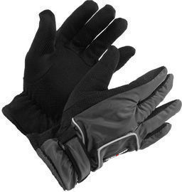 Thinsulate Style Water Resistant Winter Gloves