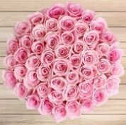 Costco - $39.99 50-Stem Mother's Day Roses