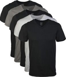 5-Pack Gildan Men's Assorted V-Neck T-Shirts