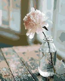COLORWORK DIY Paint by Numbers