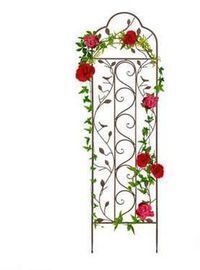 Iron Arched Garden Trellis