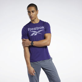 Reebok Men's Graphic Series Stacked Tee
