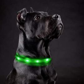 LED Dog Collar