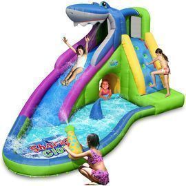 Action Air Inflatable Water Slide
