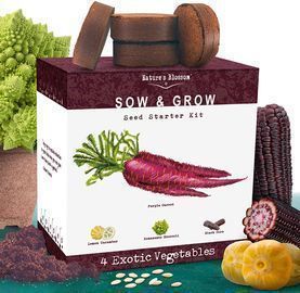 Nature's Blossom Exotic Vegetables Growing Kit