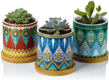 Greenaholics Succulent Plant Pot 3-Pack