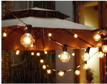 50' G40 Globe Lights