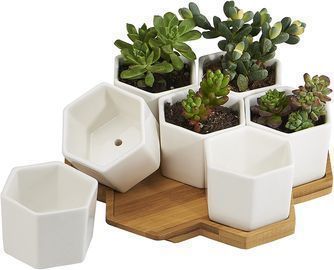 7 Pack 2.75 White Ceramic Hex Succulent Cactus Flower Plant Pots