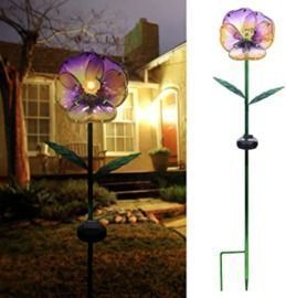 Garden Solar Lights