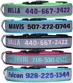 LovelyDog Embroidered Personalized Dog ID Collar