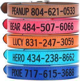 Aiseel Custom Personalized Engraved Leather Pet Collar (Real Leather)