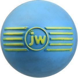 JW Pet Company iSqueak Ball Rubber Dog Toy