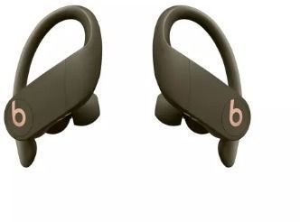 Beats by Dr. Dre Powerbeats Pro Wireless In-Ear Earphones