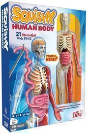 SmartLab Toys Squishy Human Body, Multicolor