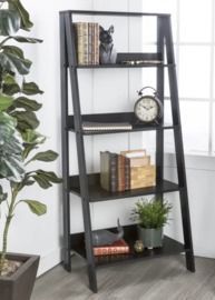 Langley Street Imogen Ladder Bookcase