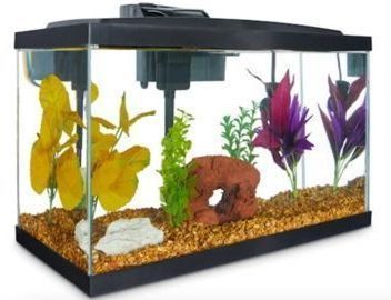 Aqueon Standard Glass 10 Gallon Aquarium Tank