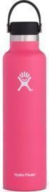 Hydro Flask Standard-Mouth Water Bottle - 24 fl. oz.