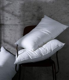 2 pack 100% Egyptian Cotton Pillows
