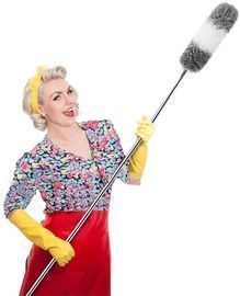 Microfiber Duster with Telescopic Pole