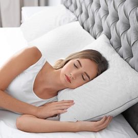 Shredded Memory Foam Pillow