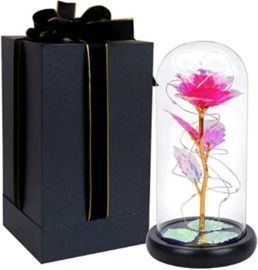 Color Rose Gift