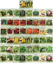 Black Duck Brand Assorted Heirloom Vegetable & Herb Seeds 50-Pack