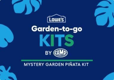 Lowes - Free Mystery Garden Pinata Kit