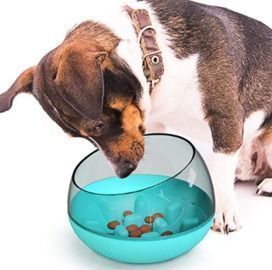Puppy Slow Feeder Bowl