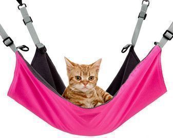 Pet Hammock