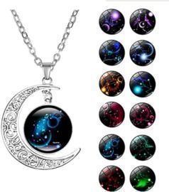 Sterling Silver Horoscope Zodiac 12 Constellation Pendant Necklace