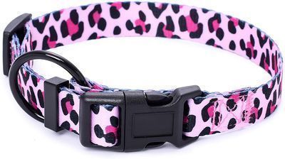 Mile High Life Dog Collar