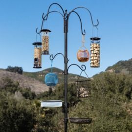 Bird Feeding Station With 6 Hooks