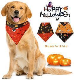 Adjustable Halloween Pet Bandana