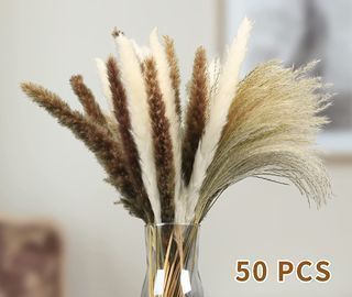 Pampas Grass Decor