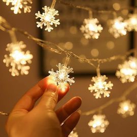 5 FT 10 LED Snowflake String Lights
