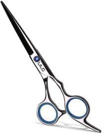 Professional Hair Cutting Scissors