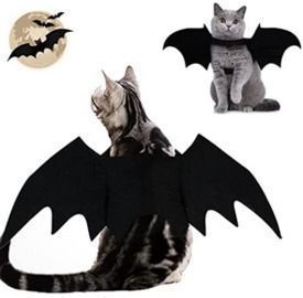 Bat Wings for Cats