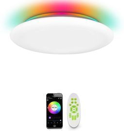 Smart LED Ceiling Light