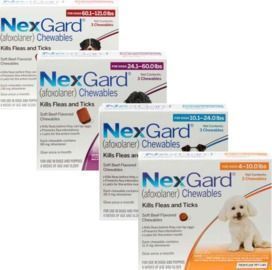 NexGard Chewables 1 Month Supply
