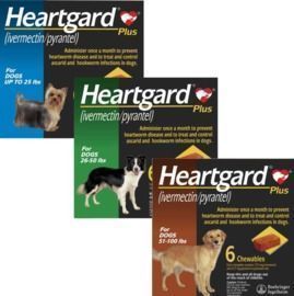 Heartgard Plus Chewables