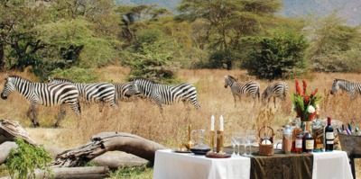 Tanzania VIP Safari All-Inclusive Trip for 2