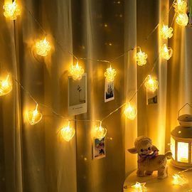 Photo Clips String Lights