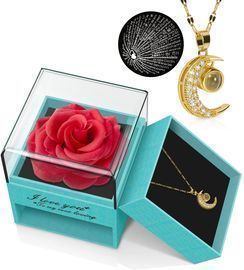 Preserved Real Rose with Moon Necklace