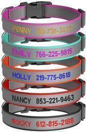 Custom Reflective Dog Collars