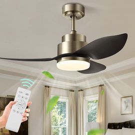 Modern Stylish Ceiling Fans With Lights - Many Color Options