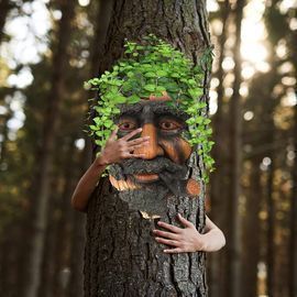 Old Man Tree Face Flower Pot