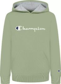 Champion Boys' Embroidered Classic Script Fleece Hoodie